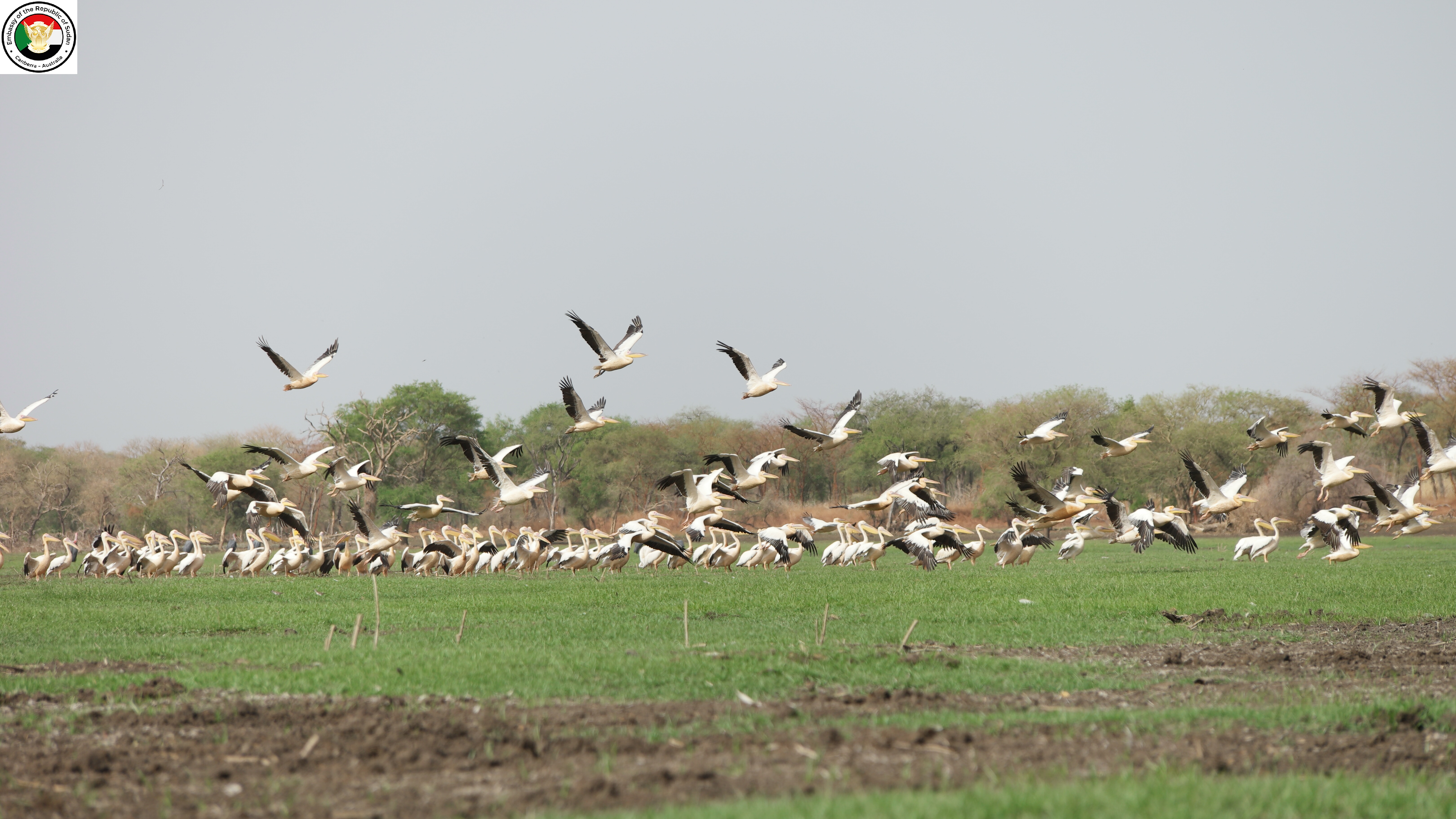 Sudan tourism gallery 31