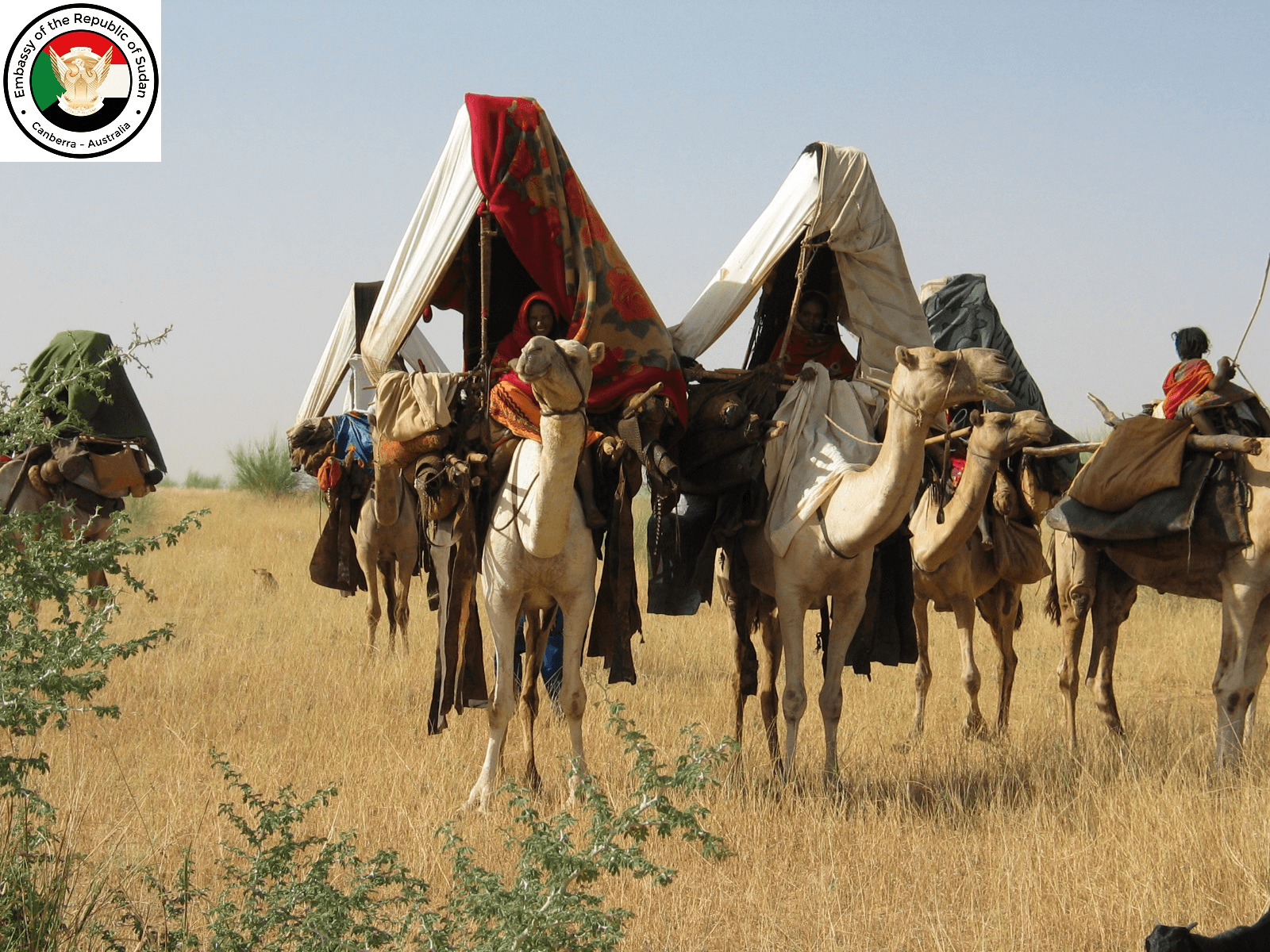 Sudan 8