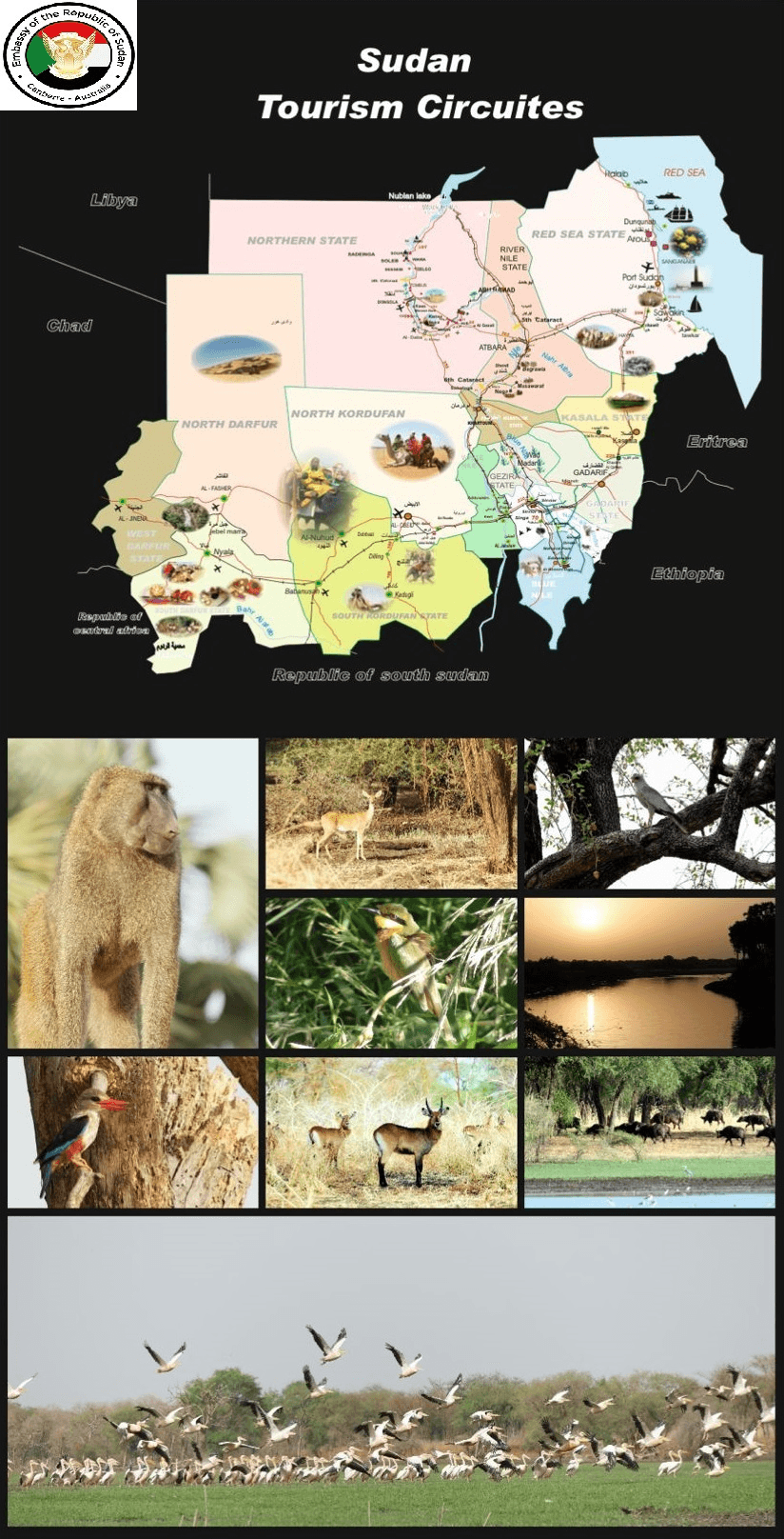 Sudan 4