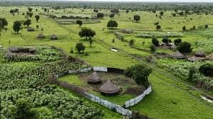 Sudan gallery 2